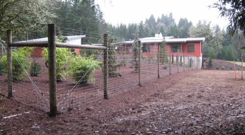 Wildlife Fence