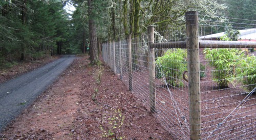 Wildlife Fence