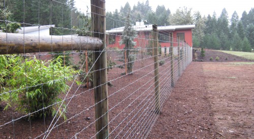 Wildlife Fence