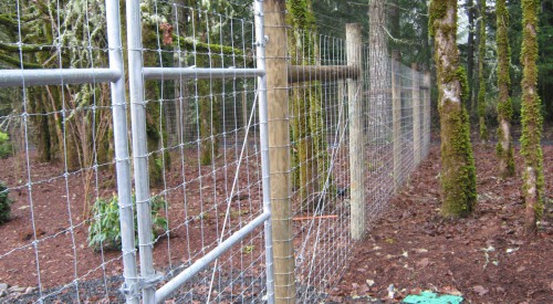 Wildlife Fence