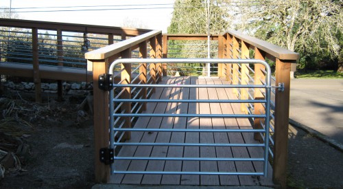 Custom Residential Gate & Rail