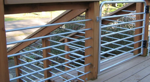 Custom Residential Gate & Rail