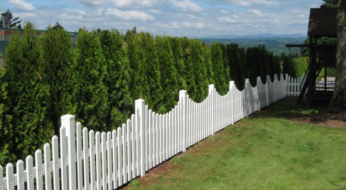 Commercial Vinyl Gates and Fencing