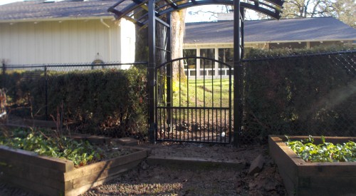 Custom Arbor and Fence
