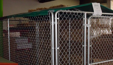 Temporary Dog Kennel