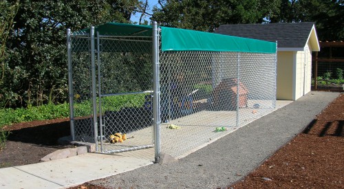 Permanent Dog Kennel